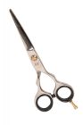 Extrasol | Jaguár Style | Professzionális fodrászolló | 5,5" | Fényes