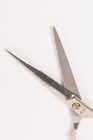 Extrasol | Jaguár Style | Professzionális fodrászolló | 6,5" | Fényes