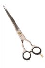 Extrasol | Jaguár Style | Professzionális fodrászolló | 6,5" | Fényes