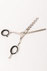 Extrasol | Jaguár Style | Professzionális ritkító olló | 6 fogú | 5,5" | Fényes